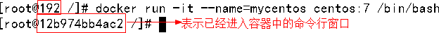 创建交互式容器