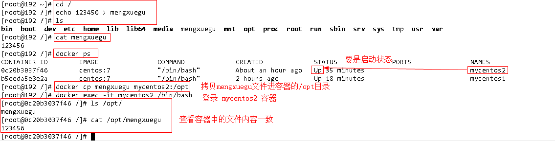 将宿主机文件拷贝到容器内