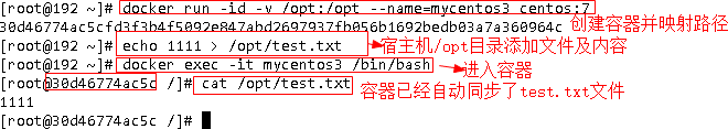 数据目录挂载1