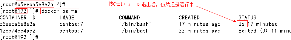 退出当前容器命令行