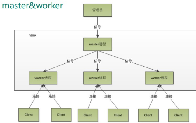 Nginx11