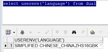 PLSQLDeveloper31