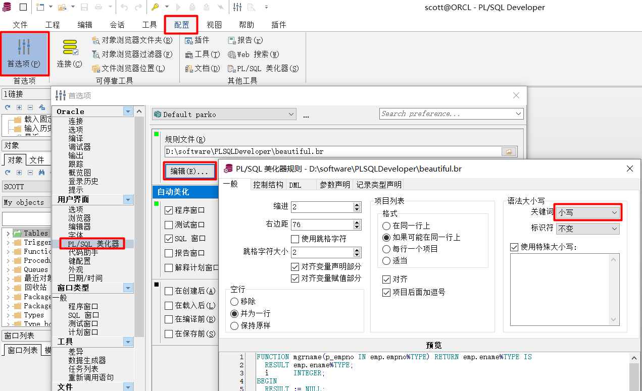 PLSQLDeveloper6